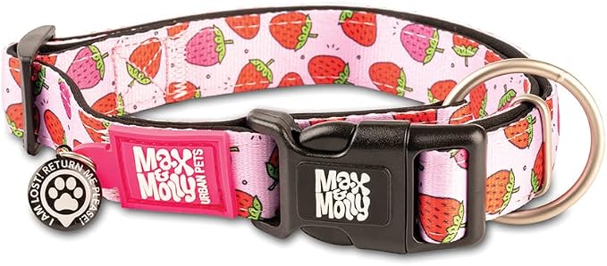Max & Molly Urban Pets Smart ID Dog Collar with Gotcha! QR Pet Safety Tag and Custom Pet Profile, Soft Padded Neoprene, Waterproof, Machine Washable, Strawberries, M (13-21")