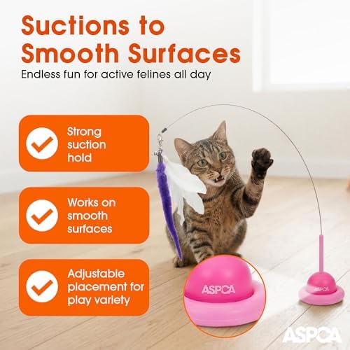 ASPCA Suction Cup Cat Toy Interactive Wand, Self Play Cat Toy for Indoor Cats, Attaches to Smooth Surfaces, Teaser Wand for Chasing, Batting & Enrichment, Pink
