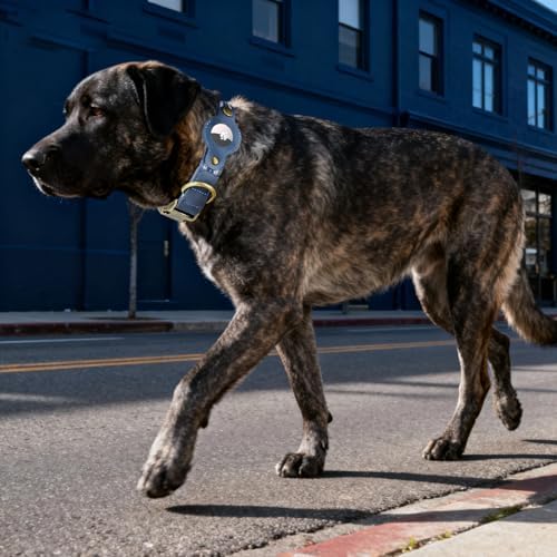 Airtag Dog Collar,Reflective Collar with Airtag Holder for Large Dogs(Blue)
