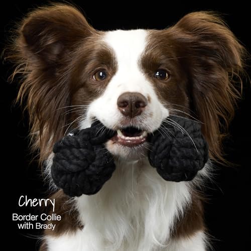 Pet Passion Brady The Rope Tug Toy 3-Pack Organic Cotton Dog Rope Pull Toys for All Pet Breeds, Black Ombre, One Size