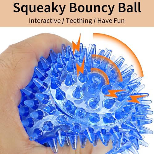 6 Pack Squeaky Spiky Dog Balls, Puppy Chew Toys for Teething, Medium