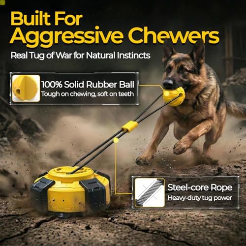 Interactive Tug of War Dog Toys Enrichment Stimulating Suction Cup