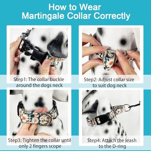 Martingale Collar for Dogs Flower Dog Collar with Quick Release Buckle Adjustable Nylon Soft Dog Collars for Small Dogs, Daisy