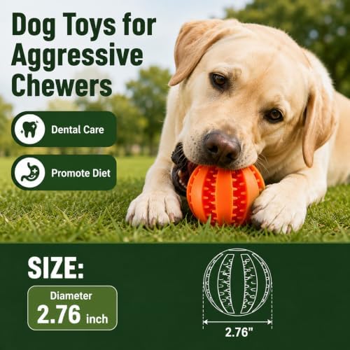 GASHIK Dog Treat Ball for Dogs, Rubber Dental Chew Toy for Dogs