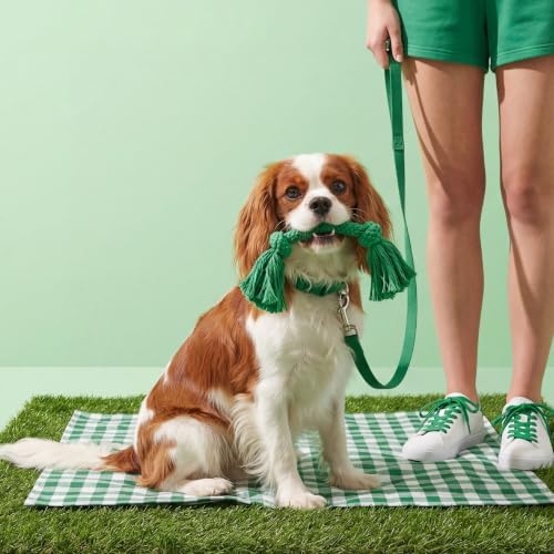 Playology Tug Rope Dog Toys for Small Breed Dogs - Small, Watermelon Scent