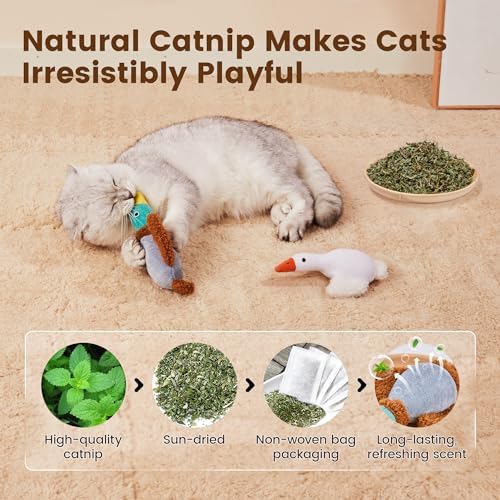 Potaroma Birds Cat Toys, 2 Pack Catnip Toys Soft Durable