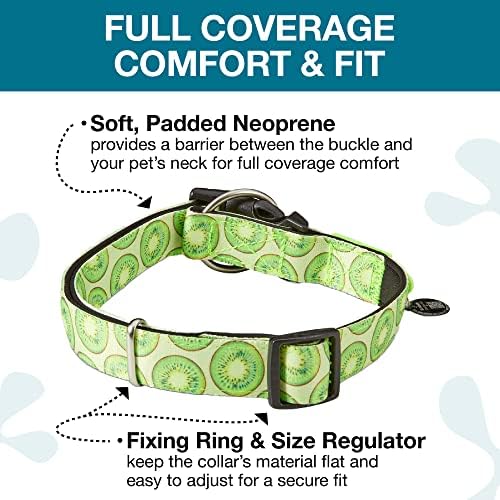 Max & Molly Smart ID Dog Collar with Gotcha! QR Safety Tag and Custom Pet Profile, Soft Padded Neoprene, Waterproof, Kiwi, Medium (13-21")