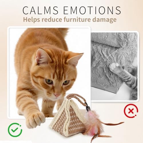 PAZ'S GIFT Cat Toy with Organic Catnip,Feathered Soft Sisal Material, Interactive Scratching and Kicking Chew Toy for Indoor Kittens