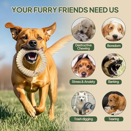 TwoEar Dog Rope Toy for Large Dogs - 4 Pack Natural Cotton Dog Chew Toys