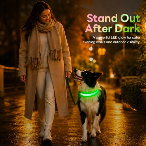 Multicolor LED Dog Collar USB-C Rechargeable, Light Up Dog Collar, Rainbow Gradient Glowing Dog Collar with 4 Light Modes, Adjustable Candy Mesh Pet Collar(Green, Large)