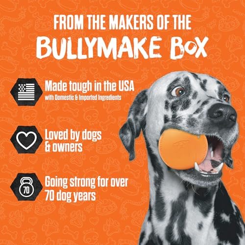 BULLYMAKE Tough Chew Controller Dog Toy, Durable Nylon, Aggressive Chewers