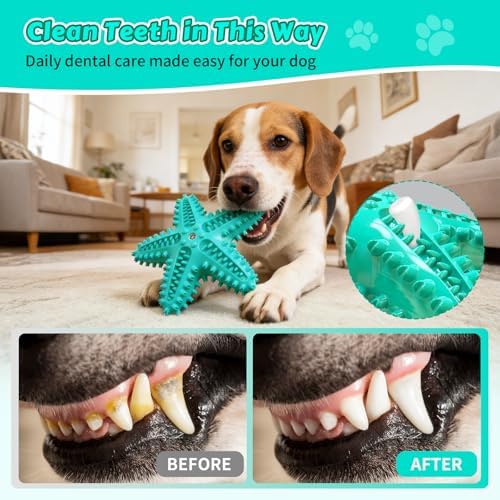 Dog Chew Toys Interactive Tough Floating Squeaky Toy