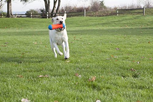 ChuckIt! Tumble Bumper Dog Toy, Medium