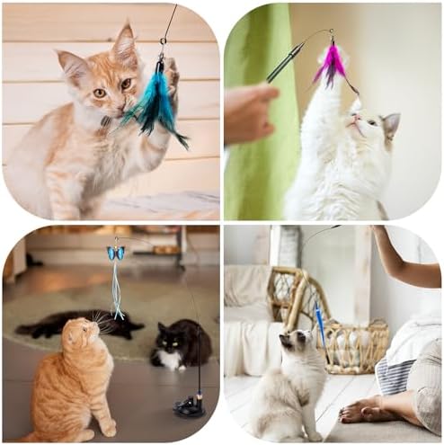 3-in-1 Cat Wand Toys,12Pcs Interactive Cat Feather Toys for Indoor Self Play & Exercise,2 Reusable Strong Suction Cups,2 Hanging Spider Toys for Kitten