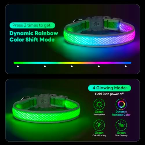 Multicolor LED Dog Collar USB-C Rechargeable, Light Up Dog Collar, Rainbow Gradient Glowing Dog Collar with 4 Light Modes, Adjustable Candy Mesh Pet Collar(Green, Small)