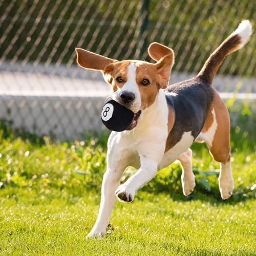 Dog Toys Balls - Chewable Plush Billiards for Dogs, Soft Pet Ball