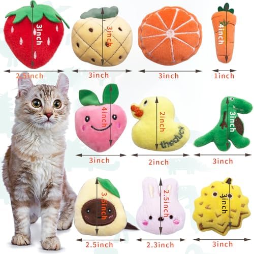 Mini Cat Catnip Toys for Indoor Cats 10 Pack