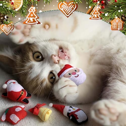 Soulchen 12 Pcs Christmas Catnip Toys with Crinkle Sound
