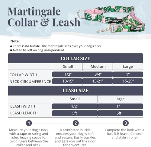 Lucky Love Dog Martingale Collar & Leash Set No Slip Cute – Laguna, Medium