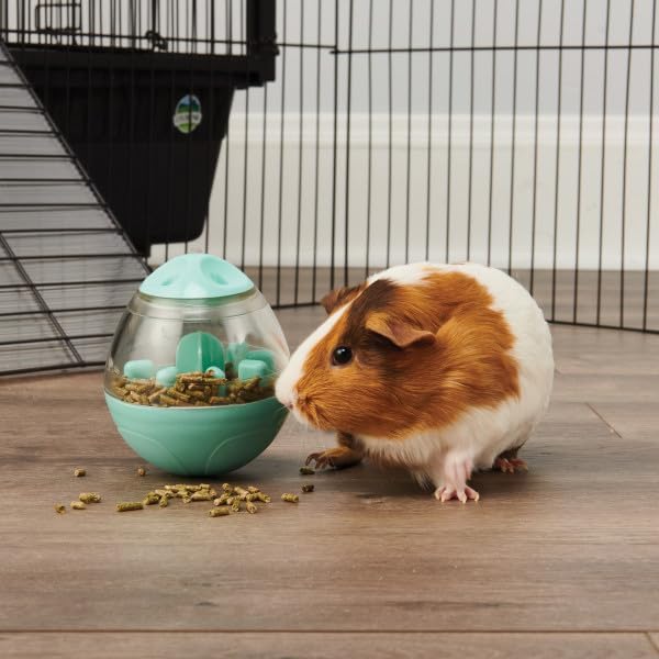 Oxbow Enriched Life Wobble Teaser Toy for Rabbits, Guinea Pigs, Hamsters, Rats