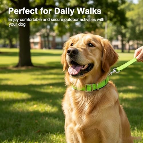 Reflective Dog Collar for Large Dogs Wide Padding 6 Holes Adjusta