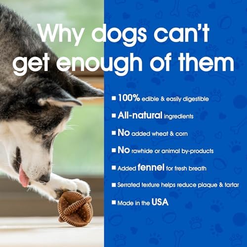 N-Bone Paw-ssemble, Interactive Dog Dental Chewing Treat, Peanut Butter Flavor, 7oz (Pack of 1) (Peanut Butter)