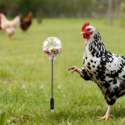 Chicken Treat Dispenser, Chicken Enrichment Toys with Spring and Ground Stake, Feeder for Coop, Coop Accessories for Hens, Geese, Ducks, Turkeys, Other Poultry