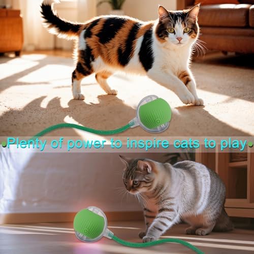 Interactive Cat Dog Toy Ball: Indoor Automatic Moving Smart Rolling Fun Pet Game with Led Light and Tail for Motion Activated, Kitten Puppy Present, Chase Exercise, Hunting Simulation-Upgrade (Green)
