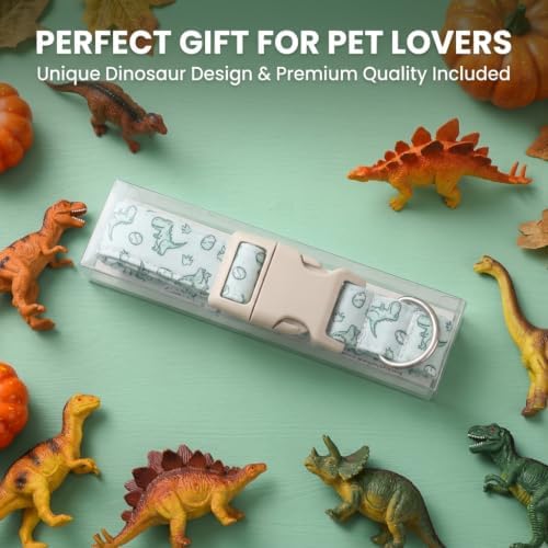 Dinosaur Dog Collar, Large Dog Collar for Boy Dog, L