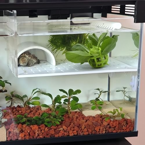 Turtle Feeder Ball, Foraging Toy for Tortoise Tank Accessories