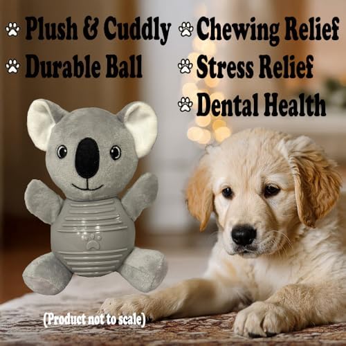 Gray Koala Plush Chew Toy for Dogs, Soft Plush Dog Toy with Durable Ball for Small, Medium, Large Dogs.