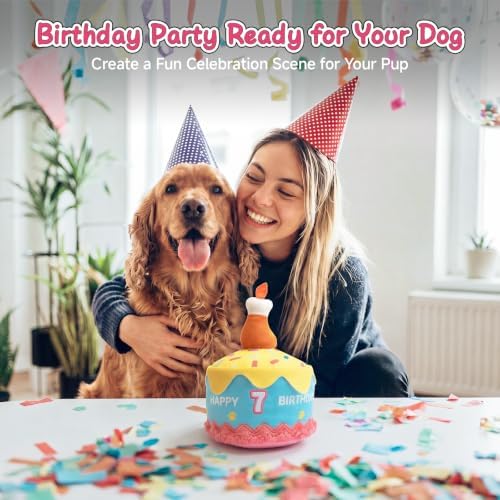 Dog Birthday Cake Toy Decorations, Larger Squeaky Plush Dog Cake Toys