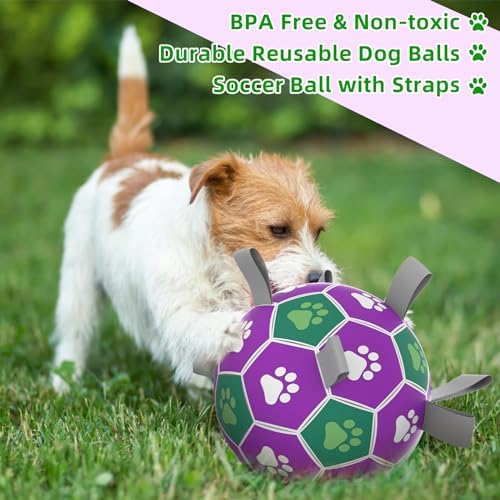 Diman Dog Toy Balls, 6 Inch Soccer Ball for Dogs with Straps