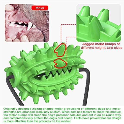 Guardians Dog Chew Toy with Suction Cup for Aggressive Chewers, Puppy Training Treats Food Dispensing Toothbrush Pet Teeth Cleaning Rope Toys for Small Medium Dogs (Green Cactus)