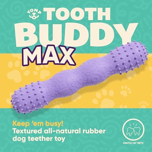 Yomp ToothBuddy MAX Dog Dental Chew Toy – Teething and Chewing Toy for Soft and Medium Chewers – Pet-Safe, Non-Toxic, All-Natural Rubber Dog Bone Toy
