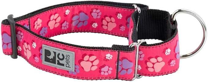 RC Pets All Webbing Training Collar M Fresh Tracks Pink
