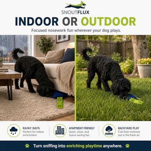 FIND-FUR-FUN Scent Training Game for Dogs with Step-by-Step Video Guide