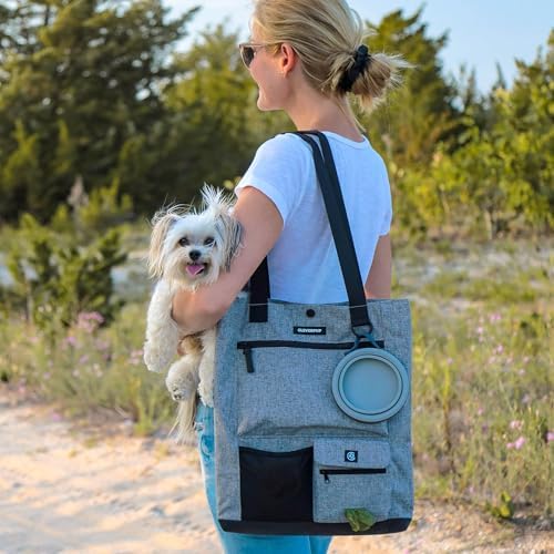 Cleverpup Park Pack 2-Piece Dog Gear Travel Tote - 8 Pockets, Heather Grey