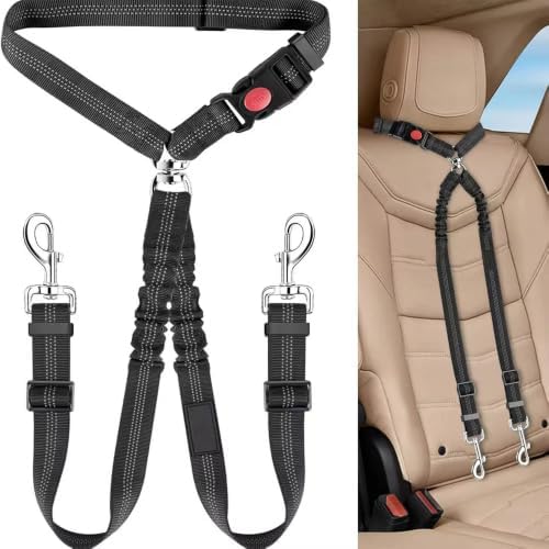 Dual Dog Car Seat Belt Leash for Smart Fortwo