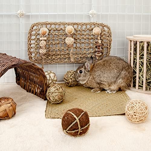 andwe Small Animals Play Activity Balls Rolling Chew Toys(Pack of 6)