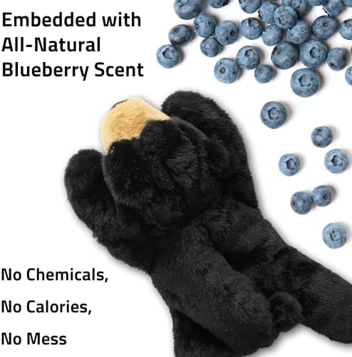 Playology Plush Bear Dog Toy - Squeaky Dog Toy - Jumbo, Blueberry Scent