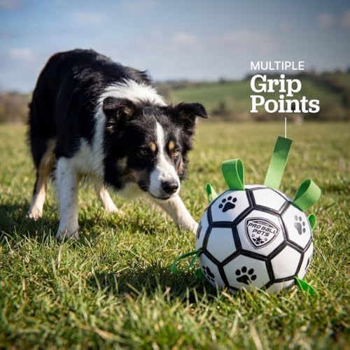 Interactive Dog Soccer Ball for Dogs, 7” with Straps & Grab Tabs, Floats on Water, Fetch & Training Toy for Small/Medium Dogs, Herding Breeds, Waterproof Non-Toxic – ProBall Pets – White Green