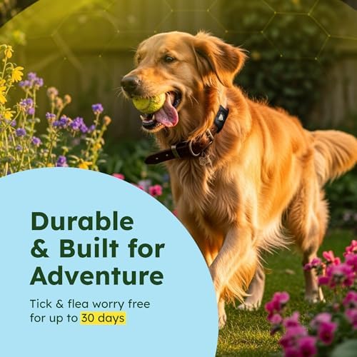 BugMD Paw Guardian Flea and Tick Prevention Pendant for Dogs