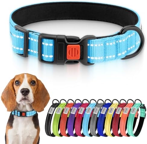 Reflective Dog Collar, Quick-Release Buckle (Light Blue, 12-16 Inch)