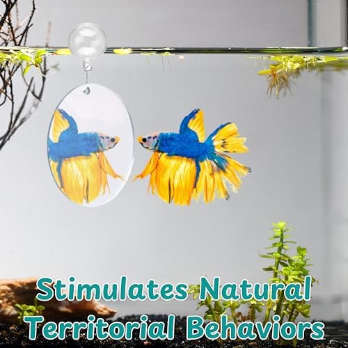 Betta Mirror Enrichment Fish Toys Stimulation, 2 pcs Exercise Feeding Rings And Training Mirror With Floating Ball Toy, Betta Fish Tank Accessories, Small Aquarium Tank Decoration (Orange, M)