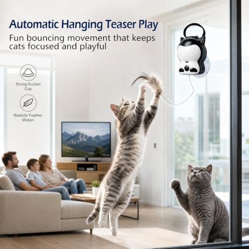 2-in-1 Electric Cat Toy, Automatic Interactive Cat Wand with 2 Play Modes (Track Chase & Bounce), Indoor Exercise Toy for Kittens & Adult Cats