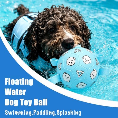 Dog Soccer Ball with Straps, 6 Inch Jolly Ball for Medium Dogs