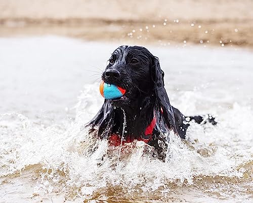 Chuckit! Amphibious Fetch Balls and Bumper Set for Dogs