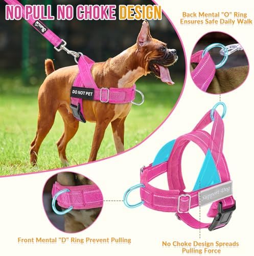 Lukovee No Pull Dog Harness and Leash Set, Soft Padded for Large Medium Dog