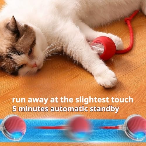 New 3Pack Automatic Rolling Cat Ball Toys - Interactive 360° Kitten Play Toy for Indoor Cats (Red, Grey, Green)